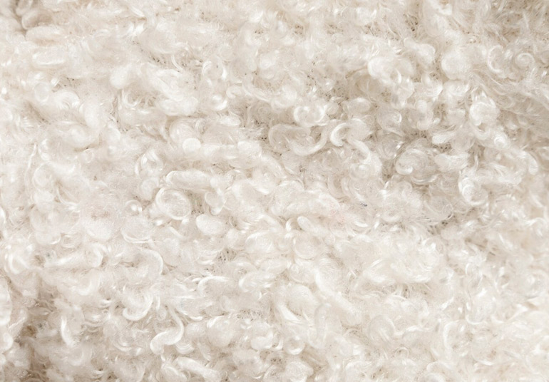 Production D'acides Aminés à Partir de Laine de Mouton