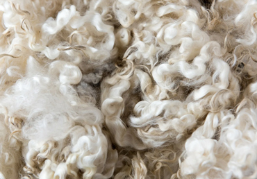Tissage de la Laine