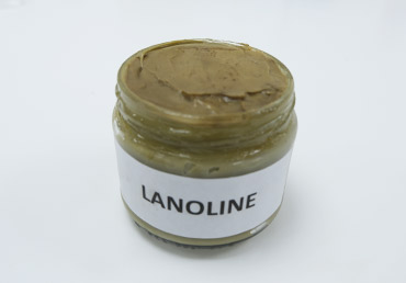 Huile de Laine de Mouton - Lanoline