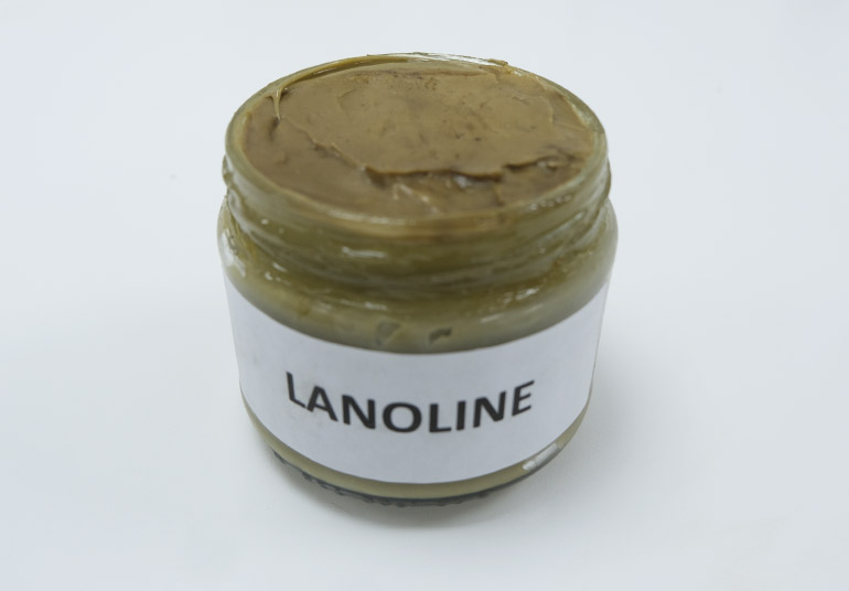 Lanoline