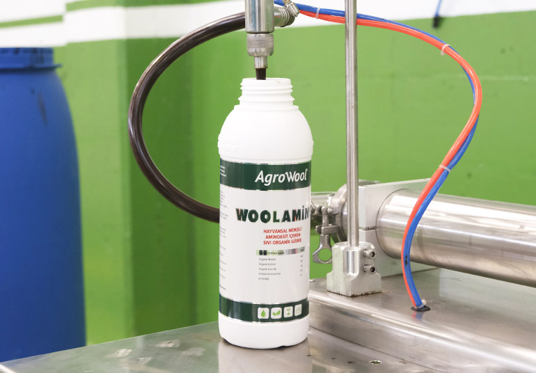 Woolamino